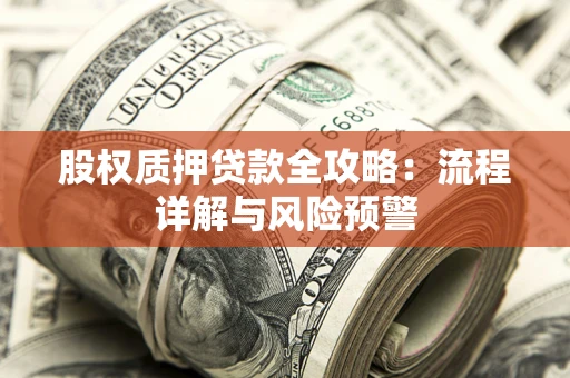 武汉股权质押贷款全攻略：流程详解与风险预警