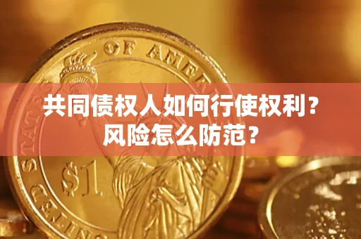 武汉共同债权人如何行使权利？风险怎么防范？