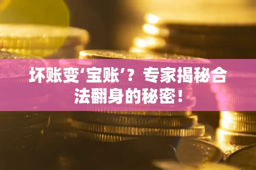 武汉坏账变‘宝账’？专家揭秘合法翻身的秘密！