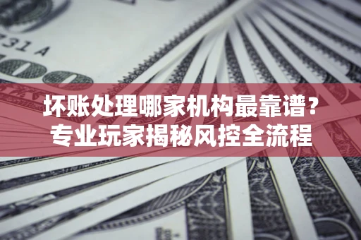 武汉坏账处理哪家机构最靠谱？专业玩家揭秘风控全流程
