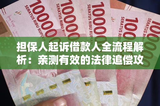 武汉担保人起诉借款人全流程解析：亲测有效的法律追偿攻略
