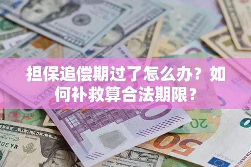 武汉担保追偿期过了怎么办？如何补救算合法期限？