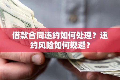 武汉借款合同违约如何处理？违约风险如何规避？