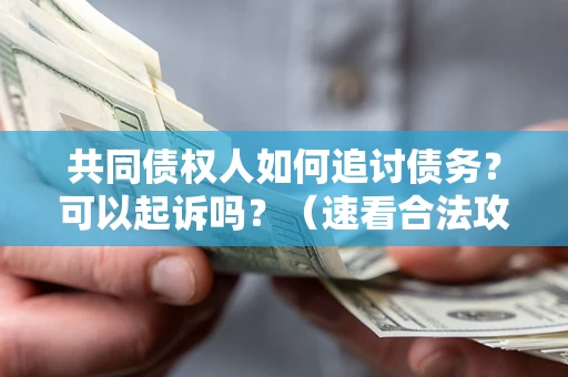 武汉共同债权人如何追讨债务？可以起诉吗？（速看合法攻略）