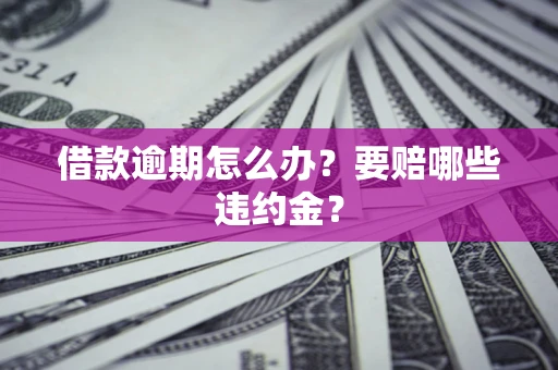 武汉借款逾期怎么办？要赔哪些违约金？