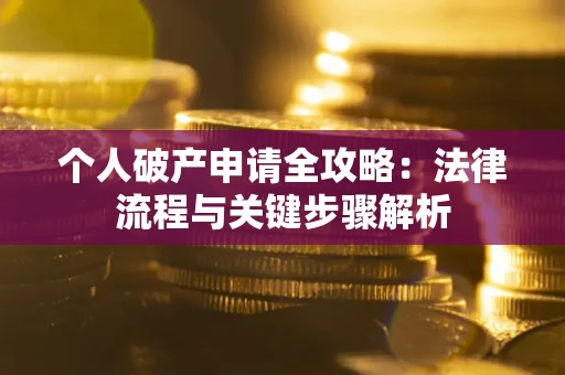 武汉个人破产申请全攻略：法律流程与关键步骤解析