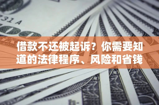 武汉借款不还被起诉？你需要知道的法律程序、风险和省钱技巧