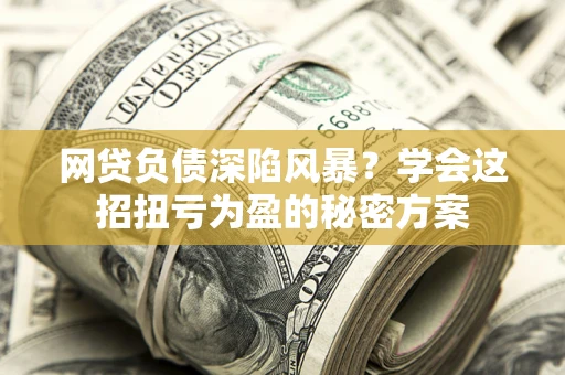 武汉网贷负债深陷风暴？学会这招扭亏为盈的秘密方案