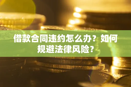 武汉借款合同违约怎么办？如何规避法律风险？