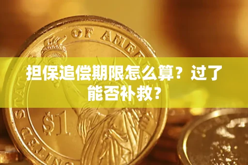 武汉担保追偿期限怎么算？过了能否补救？